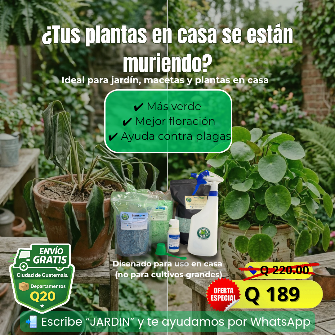 Imagen anuncio